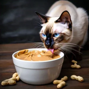 Can Cats Eat Peanut Butter? 7 can cats eat peanut butter?